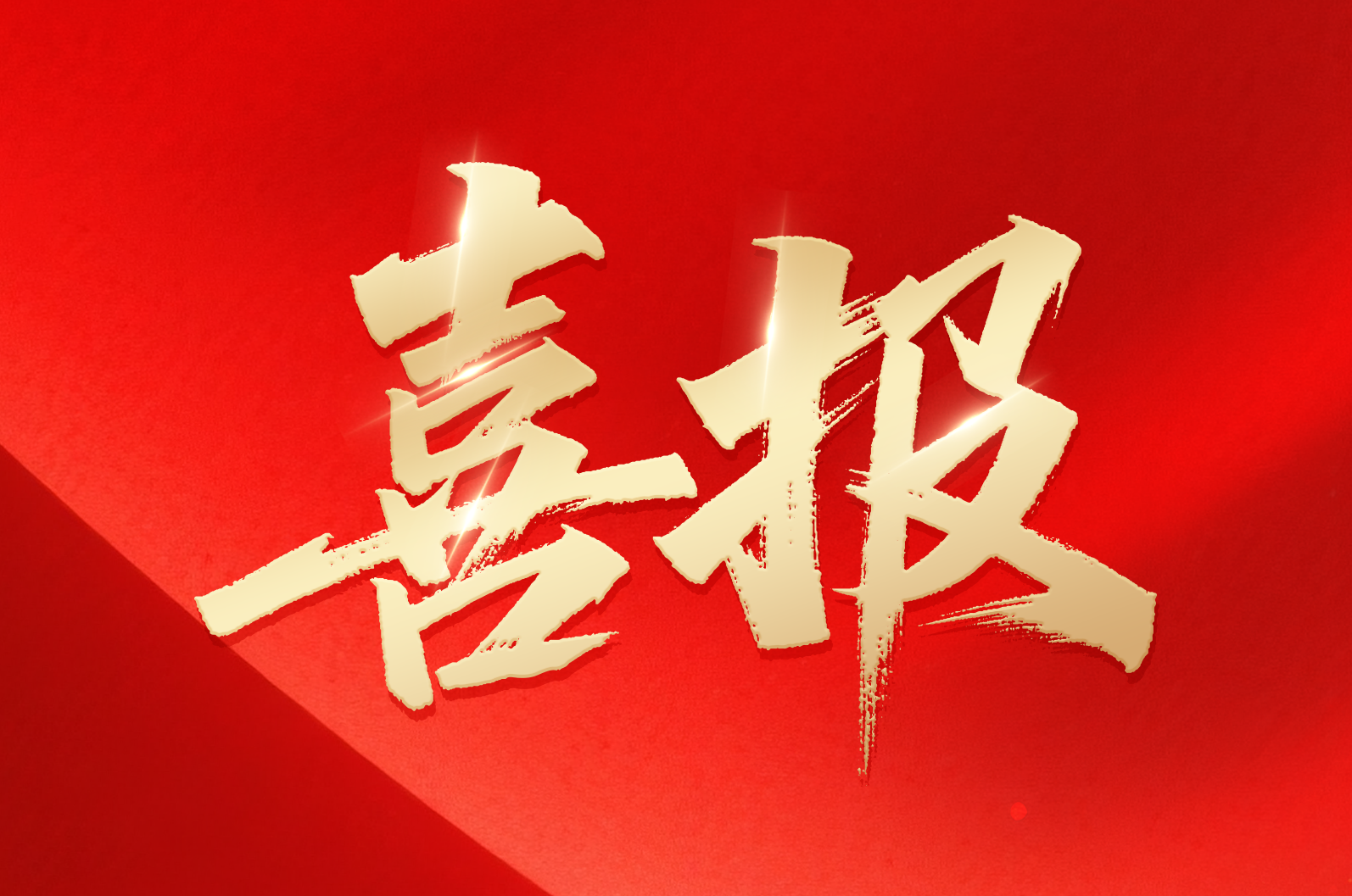 4688美高梅在线｜喜报！公司荣获2024年拼搏奋进·衢州市长特别奖市政府质量奖
